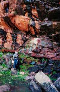 Coloured rocks at Rawnsley Waterfall