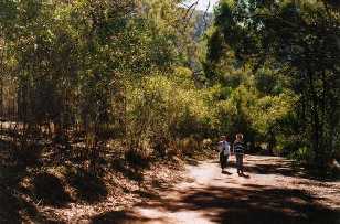The walking trail into Wilpena Pound