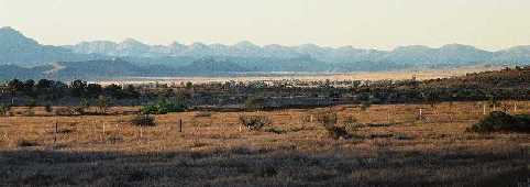 Wilpena Pound from the south