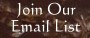 email list icon