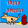 amused.com