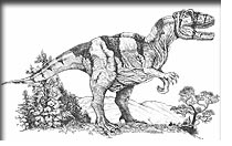 Gigantosaurus CAROLINII