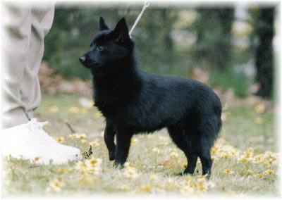 "Zoe" October 2003