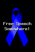 Supporting Free Speech Somewhere