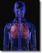 Cura de la bronquitis