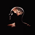 Enfermedades del cerebro y su cura