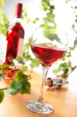 Preparación con vino para curar una enfermedad de la prostata