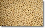 Soja con proteina vegetal