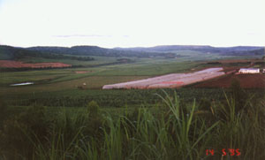 field
