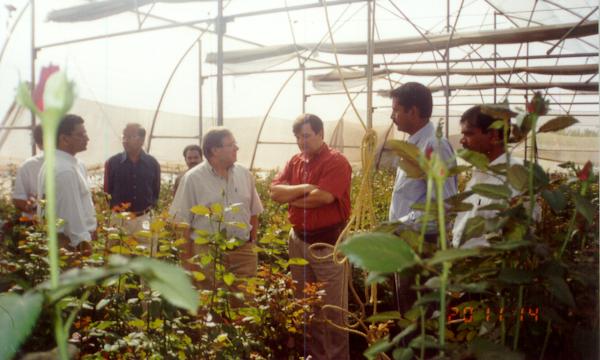 Frech buyers have a look at the crop!!