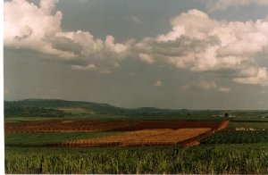 field3