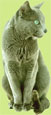 Chekov, click to enlarge