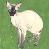 Dibujo peque�o
