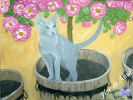 Cats n' Roses