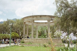 xela (1) (15K)