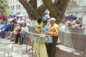 xela (3) (17K)