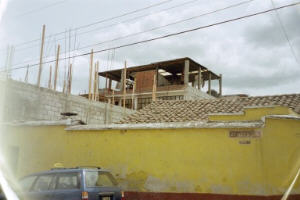 xela (8) (10K)