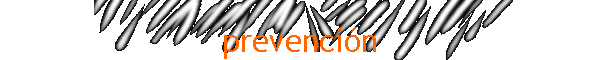 prevenci�n
