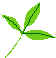 Hoja9.wmf (1392 bytes)