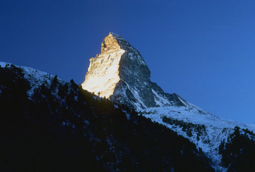 Monte.jpg (27527 bytes)