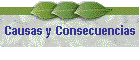 Causas y Consecuencias
