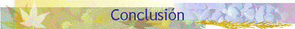 Conclusi�n