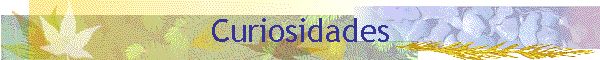 Curiosidades