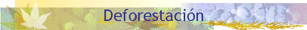 Deforestaci�n