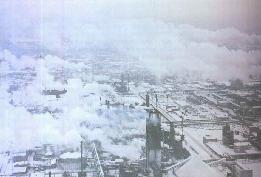wpe7.jpg (41405 bytes)