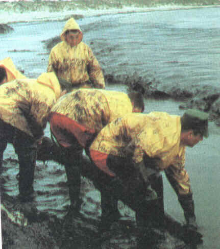 wpeC.jpg (24253 bytes)