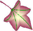 hoja1.wmf (12512 bytes)