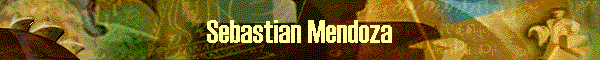 Sebastian Mendoza