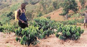 guy in field