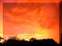 19.11.05FlorestaNegra18.45hOeste