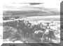 Tropeiros1953.jpg (63923 bytes)