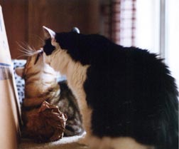 Garf and Emmy kiss