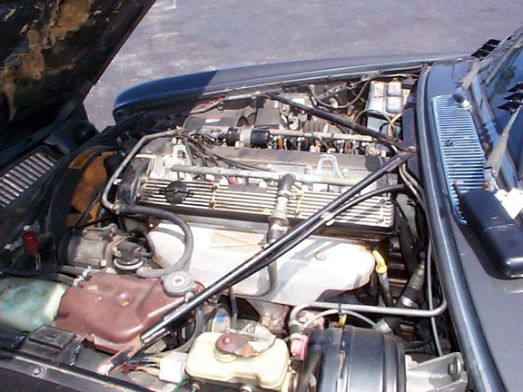 8031_4.jpg (64657 bytes)
