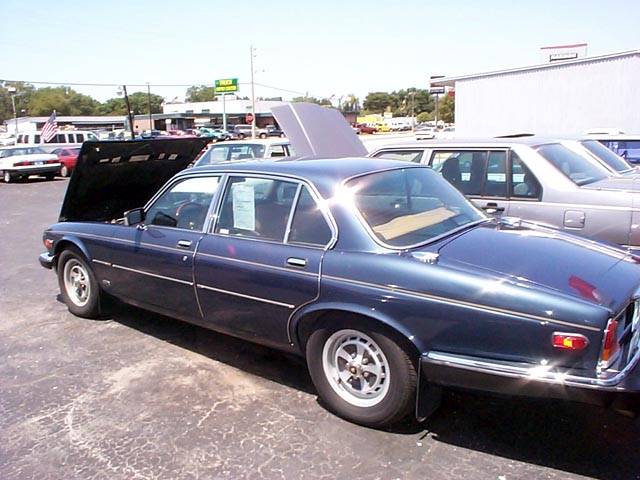 otherjag.JPG (65355 bytes)