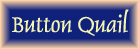 Go to my button quail page. Eggs for sale!
