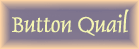 You are on the button quail page