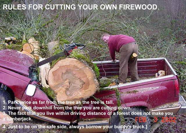 How not to cut firewood