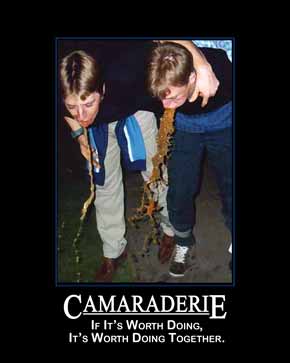 camaraderie