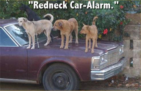 redneck car alarm