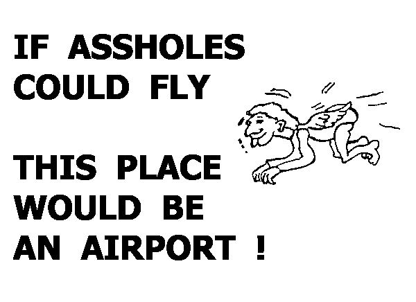 flying assholes
