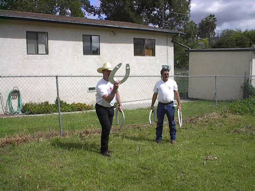 Giant Horseshoes