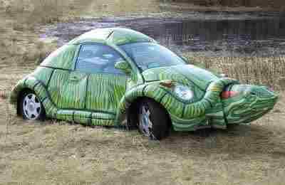 Turtle Volkswagon