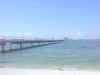 g_pier1.jpg (47046 bytes)