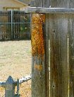 Fence Post (2)