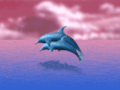 Link To Dolphins' Dance