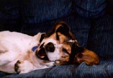 Snoopy being goofy